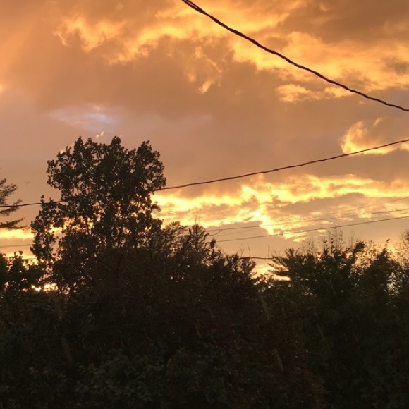 Meet your Posher, Lisa - Picture 1 of 1